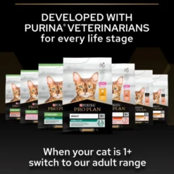 Cat Healthy Start Kitten Kylling 10 kg