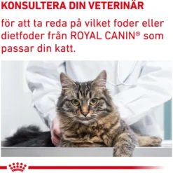 Cat Mature Consult Balance 10 kg