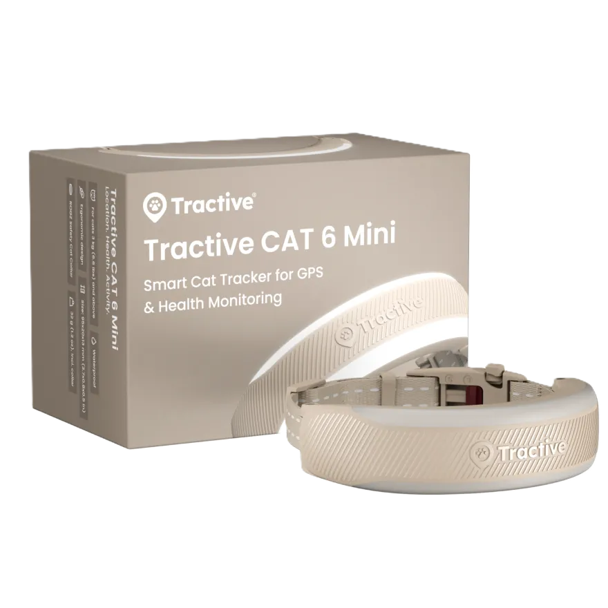 CAT 6 Mini GPS Brun