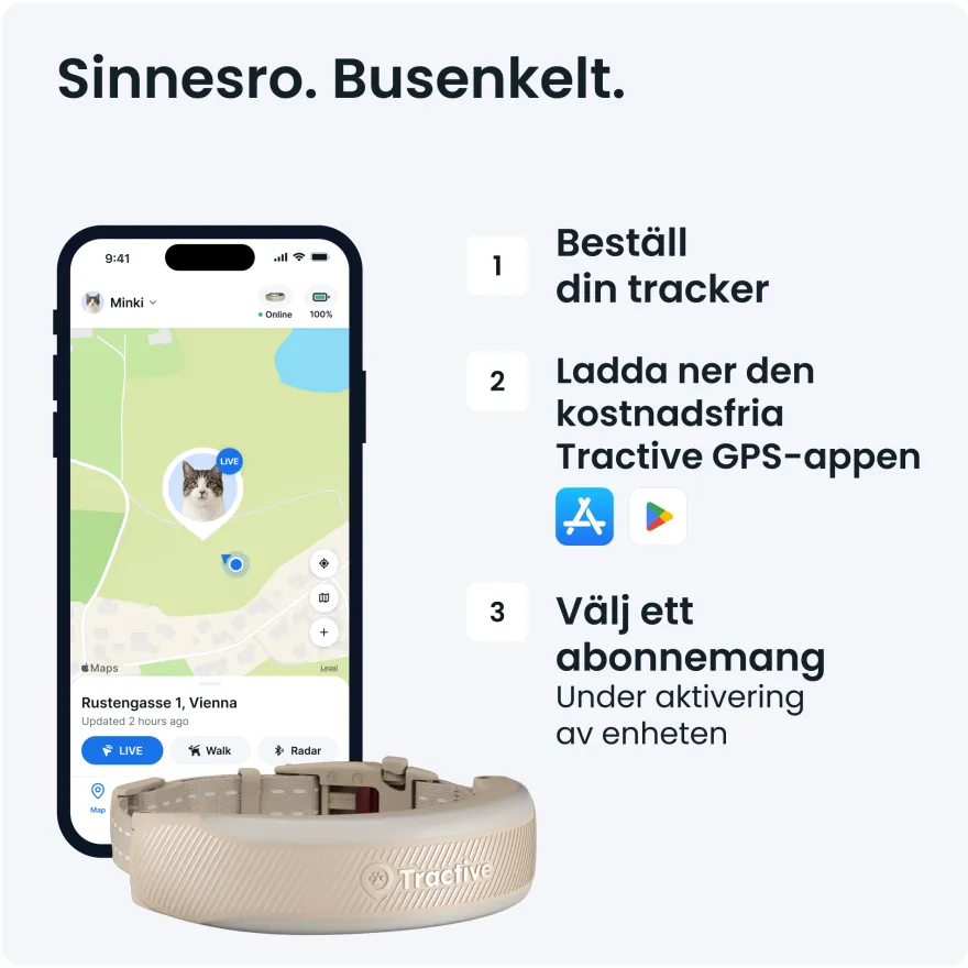 CAT 6 Mini GPS Brun