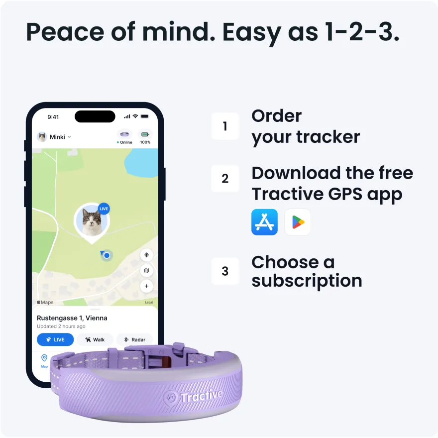 CAT 6 Mini GPS Lavendel