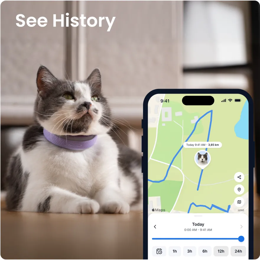 CAT 6 Mini GPS Lavendel