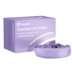 CAT 6 Mini GPS Lavendel