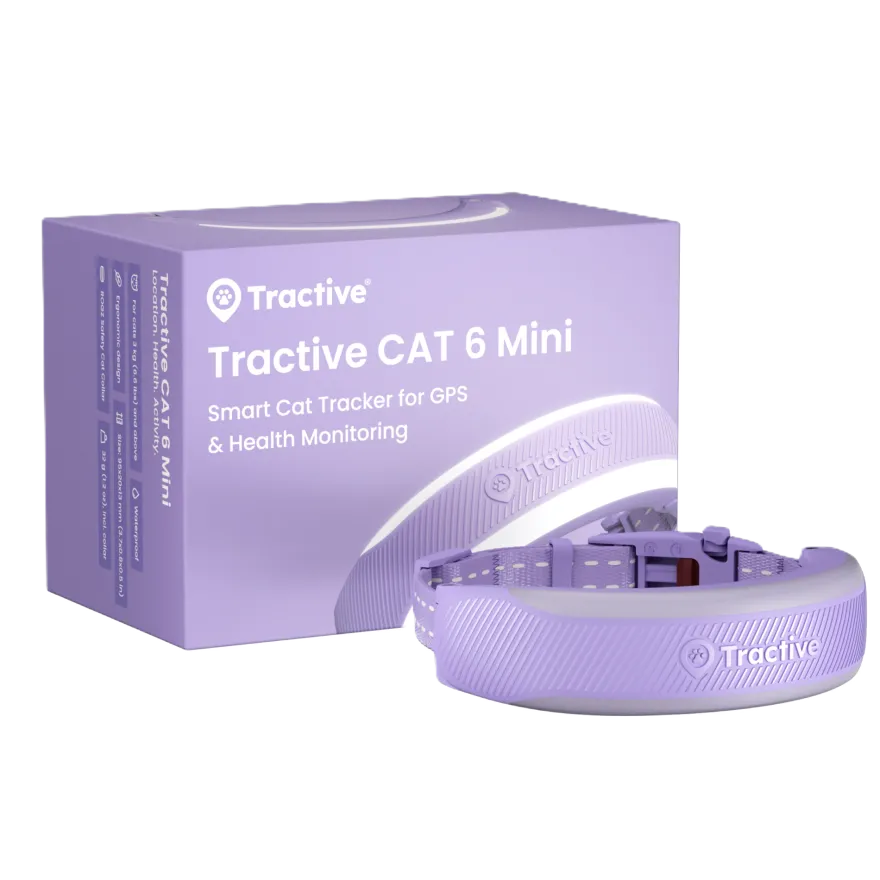 CAT 6 Mini GPS Lavendel