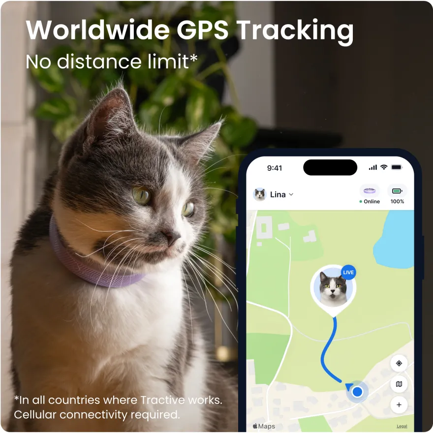 CAT 6 Mini GPS Lavendel