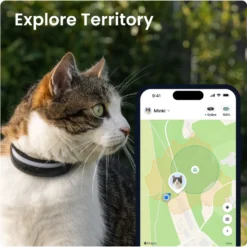 CAT 6 Mini GPS Svart