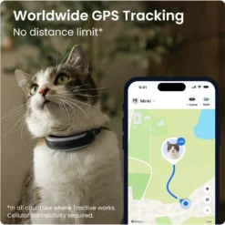 CAT 6 Mini GPS Svart