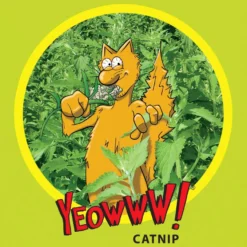 Catnip katteleketøy Hjerteattakk rød 11 cm