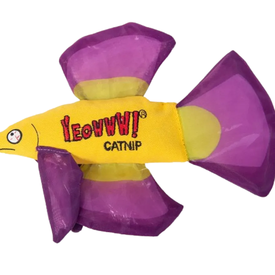 Catnip Mo Betta Fish Purple 16,5 x 12,7 x 2,5 cm