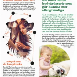 Cat Special Shampoo 250 ml