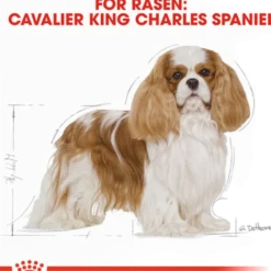 Cavalier King Charles Adult tørrfôr for hunder 7,5 kg