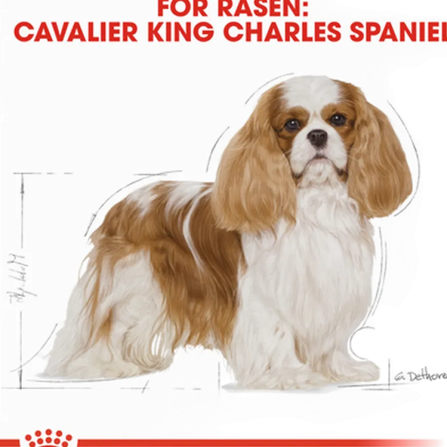 Cavalier King Charles Adult tørrfôr for hunder 7,5 kg