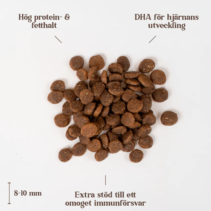 Chicken Healthy Growth Puppy All Breed 2 kg