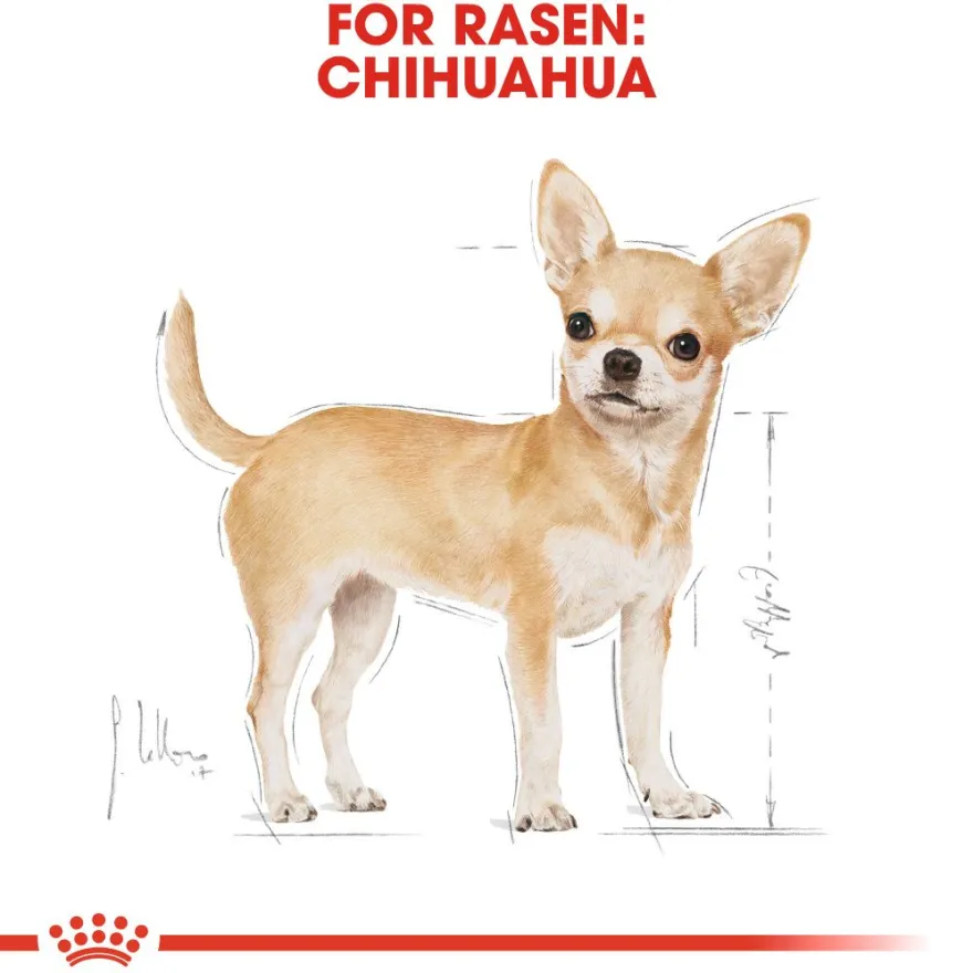 Chihuahua Adult våtfôr for hunder 85 g x 12 stk