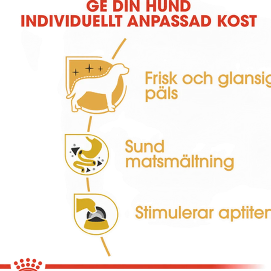 Chihuahua Adult våtfôr for hunder 85 g x 12 stk