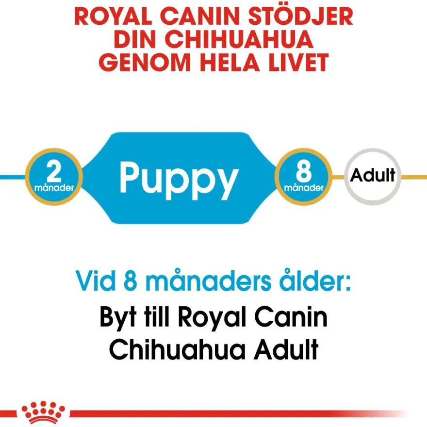 Chihuahua Puppy tørrfôr for valper 1,5 kg