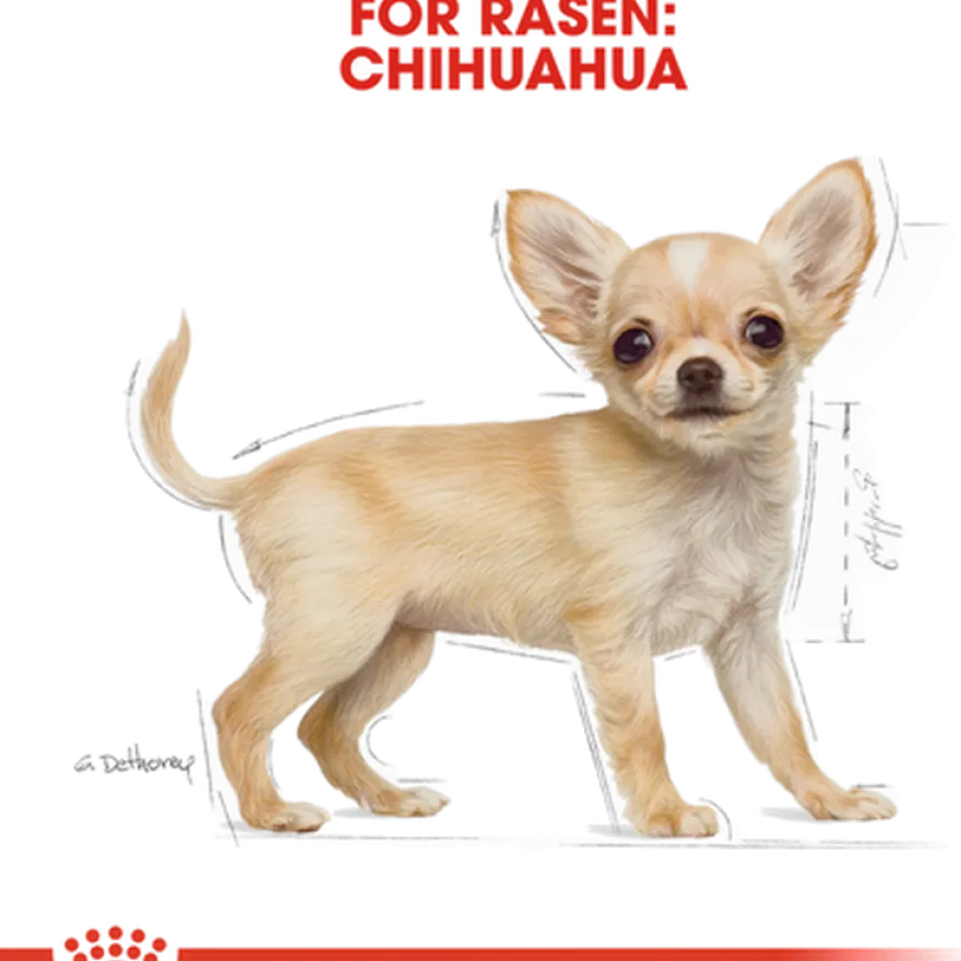Chihuahua Puppy tørrfôr for valper 1,5 kg