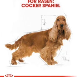Cocker Adult tørrfôr for hunder 3 kg