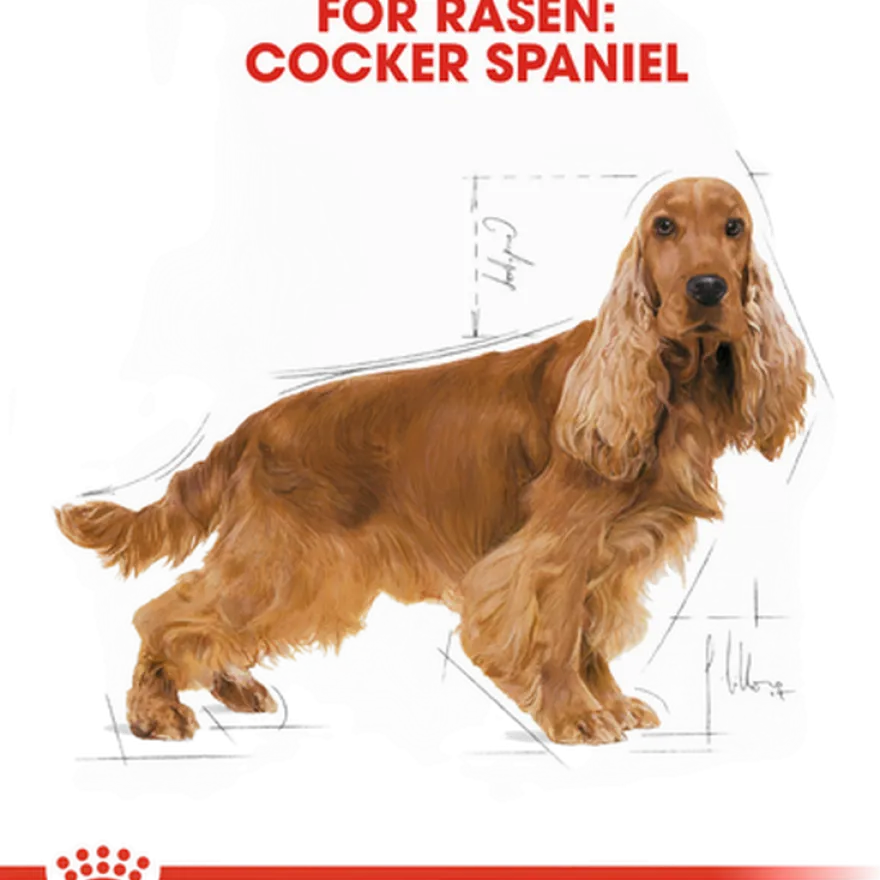 Cocker Adult tørrfôr for hunder 3 kg