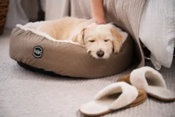 ComfortCuddle-seng, XS, 40x12cm, Beige