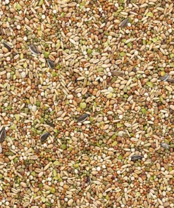 Country's Best Snack Garden Mix 1 kg