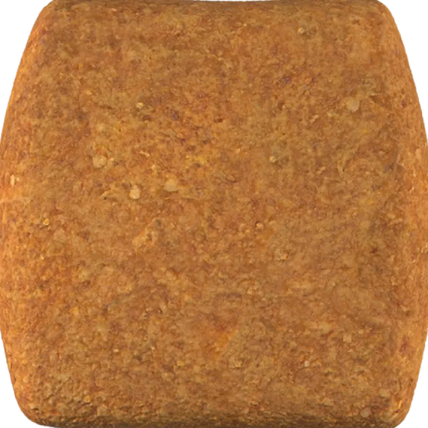 Dachshund Adult tørrfôr for hunder 1,5 kg