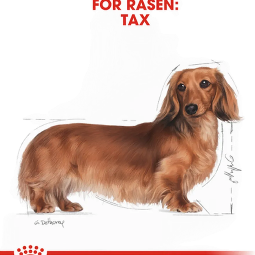 Dachshund Adult tørrfôr for hunder 1,5 kg