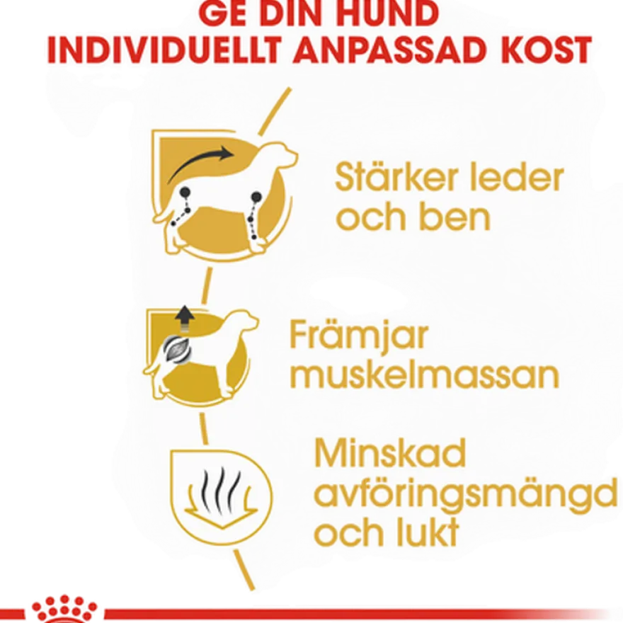 Dachshund Adult tørrfôr for hunder 1,5 kg