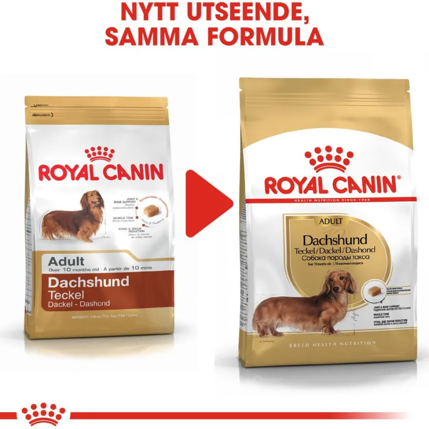 Dachshund Adult tørrfôr for hunder 1,5 kg