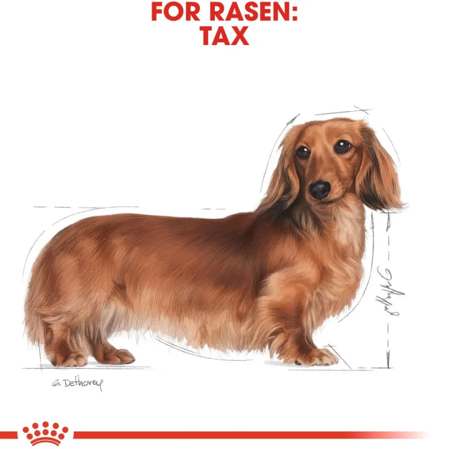 Dachshund Adult Våtfôr for hunder 85 g x 12 stk