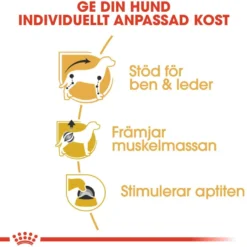 Dachshund Adult Våtfôr for hunder 85 g x 12 stk