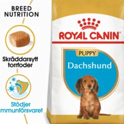 Dachshund valp tørrfôr for valp 1,5 kg