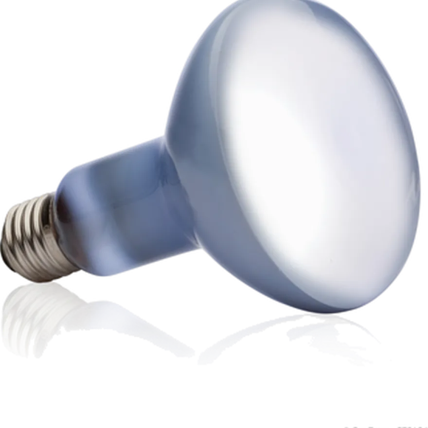 Dagslysbasert spot R20 50W - Sun Glo
