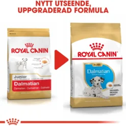 Dalmatiner valp 12 kg