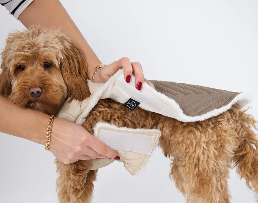 Dekke ComfortCuddle, 30cm, Beige