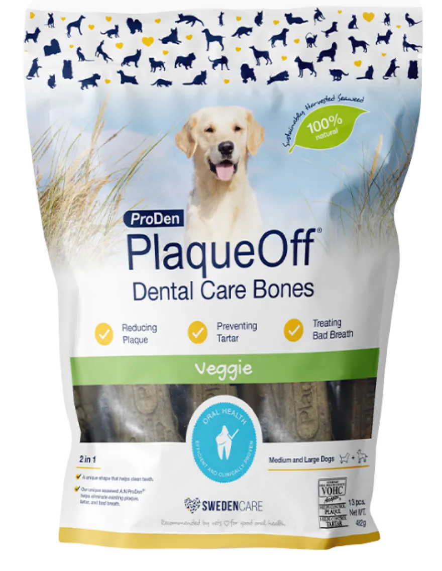 Dental Care Bones Veggie 482g