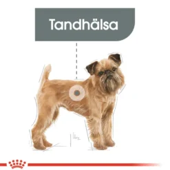 Dental Care Mini Tørrfôr Til Hund 3 kg