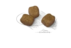 Dental Care Mini Tørrfôr Til Hund 3 kg