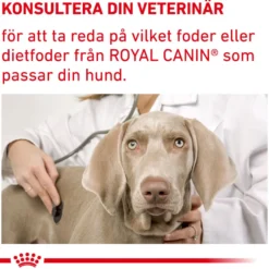 Dental Small Dog tørrfôr for hunder 3,5 kg