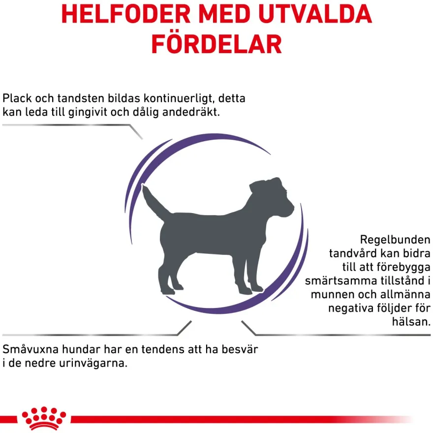 Dental Small Dog tørrfôr for hunder 3,5 kg