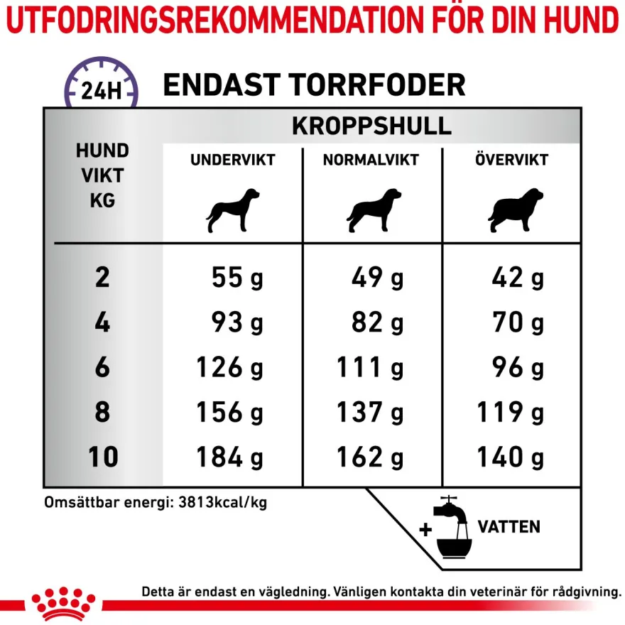 Dental Small Dog tørrfôr for hunder 3,5 kg