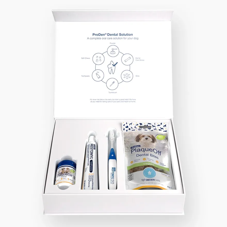 Dental Solution Dental Care Box Startpakke