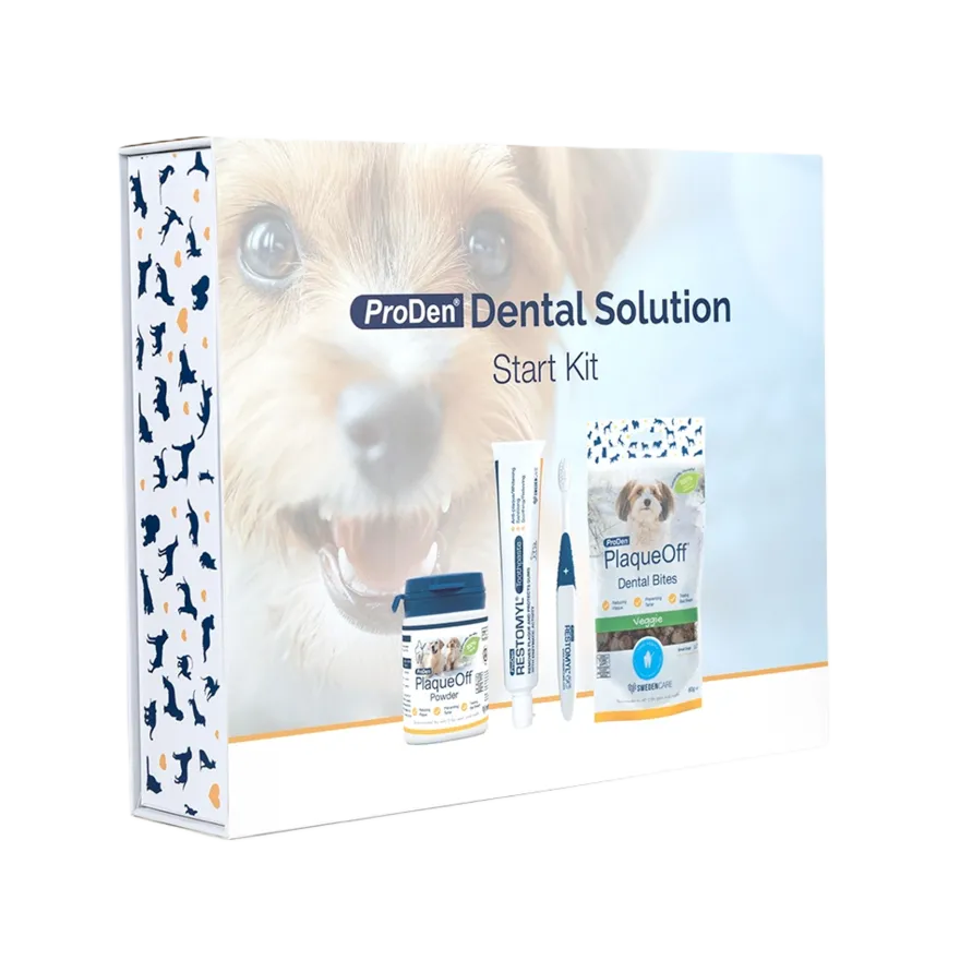 Dental Solution Dental Care Box Startpakke