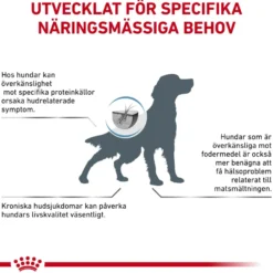 Derma Anallergenic tørrfôr for hunder 3 kg