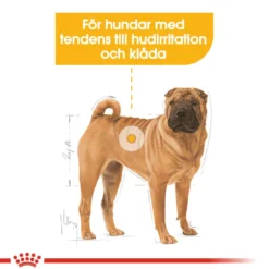 Dermacomfort Adult Medium tørrfôr for hunder 12 kg