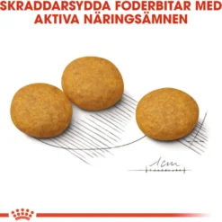 Dermacomfort Adult Medium tørrfôr for hunder 12 kg