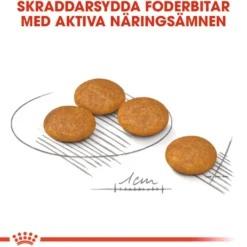 Dermacomfort Adult Mini tørrfôr for hunder 3 kg