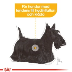 Dermacomfort Adult Mini tørrfôr for hunder 3 kg
