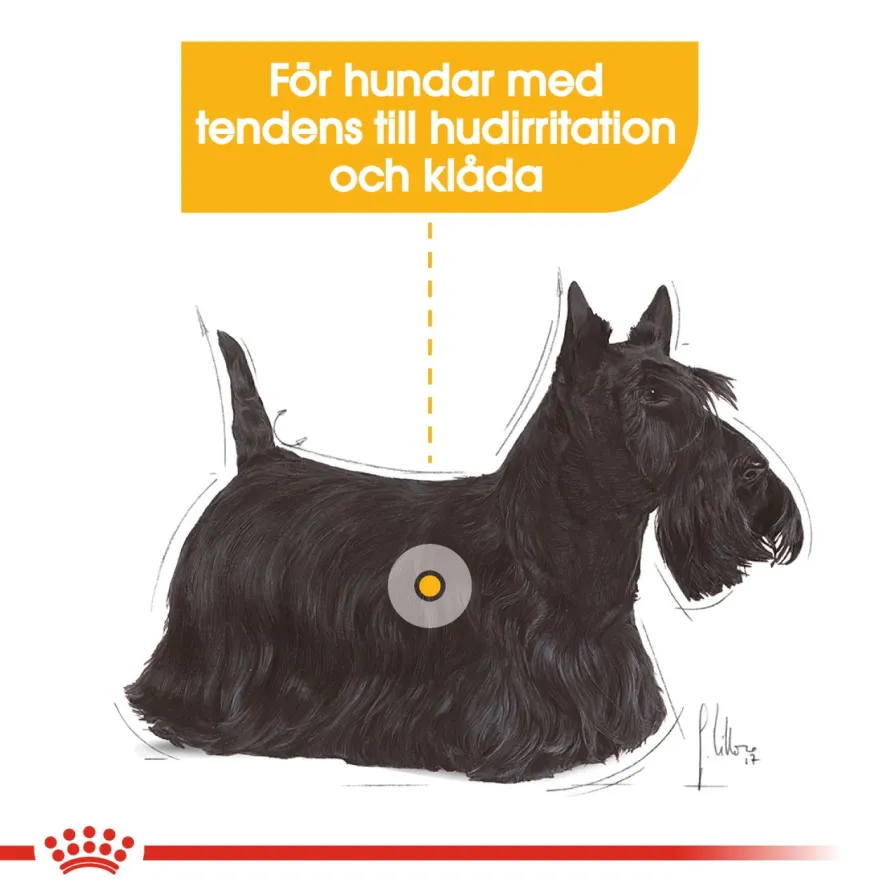 Dermacomfort Mini tørrfôr for hunder 8 kg