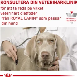 Derma Hypoallergenic Loaf Can våtfôr for hunder 200 g